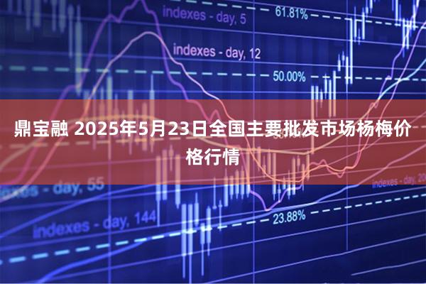 鼎宝融 2025年5月23日全国主要批发市场杨梅价格行情
