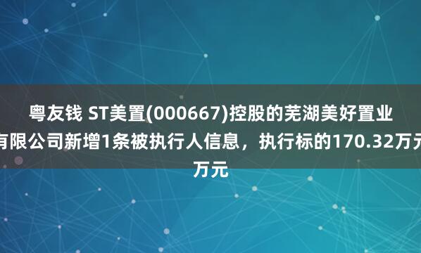 粤友钱 ST美置(000667)控股的芜湖美好置业有限公司新增1条被执行人信息，执行标的170.32万元