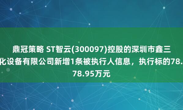 鼎冠策略 ST智云(300097)控股的深圳市鑫三力自动化设备有限公司新增1条被执行人信息，执行标的78.95万元