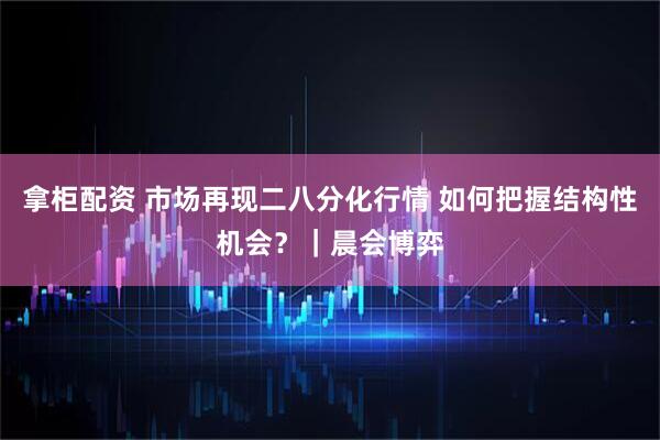 拿柜配资 市场再现二八分化行情 如何把握结构性机会？｜晨会博弈