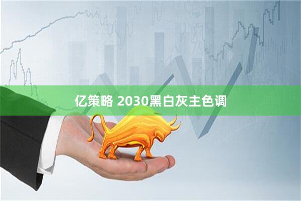 亿策略 2030黑白灰主色调